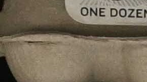 NEW YORK, UNITES STATES - JANUARY 21: Egg shelves are seen with a note apologizing to customers for the price increase after the reduction in productivity brought on by poultry fatalities caused by various illnesses in New York, United States on January 21, 2023. The egg prices jumped by two to three times across the country, from 3 to 4 dollars per package to 9 to 11 dollars for organic eggs and from 2 to 3 dollars to 5 to 7 dollars for regular eggs. (Photo by Fatih Aktas/Anadolu Agency via Getty Images)