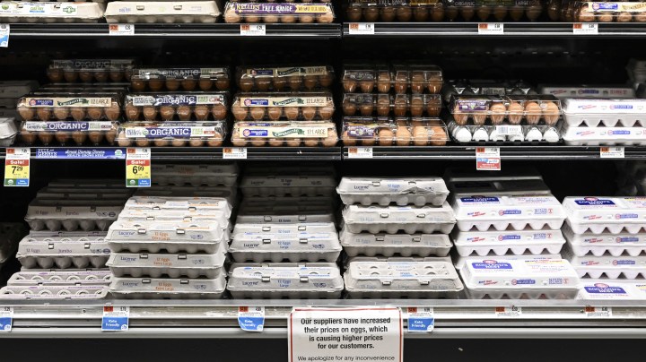 NEW YORK, UNITES STATES - JANUARY 21: Egg shelves are seen with a note apologizing to customers for the price increase after the reduction in productivity brought on by poultry fatalities caused by various illnesses in New York, United States on January 21, 2023. The egg prices jumped by two to three times across the country, from 3 to 4 dollars per package to 9 to 11 dollars for organic eggs and from 2 to 3 dollars to 5 to 7 dollars for regular eggs. (Photo by Fatih Aktas/Anadolu Agency via Getty Images)