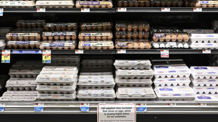 NEW YORK, UNITES STATES - JANUARY 21: Egg shelves are seen with a note apologizing to customers for the price increase after the reduction in productivity brought on by poultry fatalities caused by various illnesses in New York, United States on January 21, 2023. The egg prices jumped by two to three times across the country, from 3 to 4 dollars per package to 9 to 11 dollars for organic eggs and from 2 to 3 dollars to 5 to 7 dollars for regular eggs. (Photo by Fatih Aktas/Anadolu Agency via Getty Images)