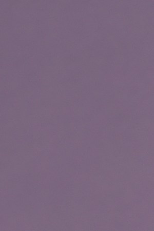 LOS ANGELES, CALIFORNIA - NOVEMBER 13: Sasha Calle poses in the IMDb exclusive portrait studio at the Critics Choice Association 2nd Annual Celebration of Latino Cinema & Television at Fairmont Century Plaza on November 13, 2022 in Los Angeles, California. (Photo by Vivien Killilea/Getty Images for IMDb)