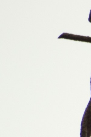 U.S. and Mexico border wall with flags