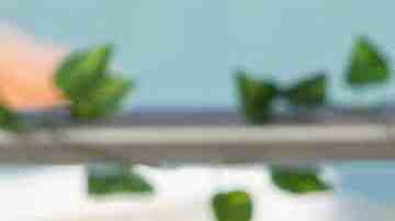 FANTASY ISLAND Season 2 Episode 1: Roselyn Sanchez and guest star Cheryl Hines in the “Tara and Jessica’s High School Reunion/Cat Lady” season premiere episode of FANTASY ISLAND airing Monday, Jan. 2 (8:00-9:00 PM ET/PT) on FOX. CR: Laura Magruder/ FOX.