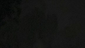 Bella Ramsey and Pedro Pascal from HBO's The Last of Us