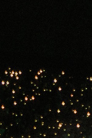 Photo by Jonathan Alvarez