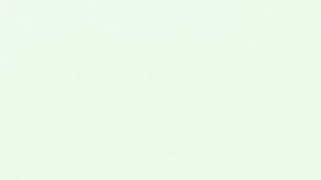 Photo by Alan Cortes.