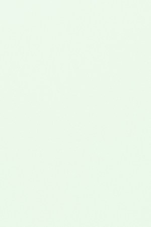 Photo by Alan Cortes.