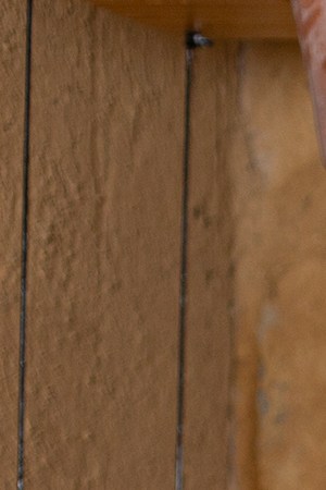 Courtesy of Lola Méndez.