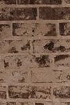 Grupo Frontera_"No Se Va"