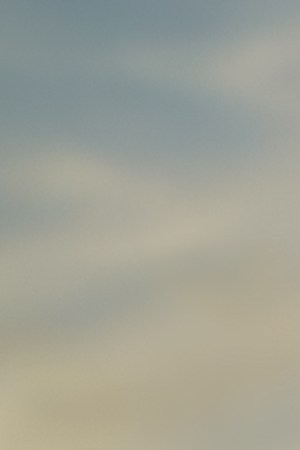 Alejandro-Fernández