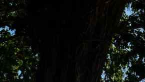 YUCATAN, MEXICO - DECEMBER 08: Tourists visit Temple of Kukulcan in Chichen Itza archeological site, in Yucatan, Mexico on December 8, 2022. The temple which is known as El Templo is allowed to visit around itself, however no longer climb them or enter the chambers. (Photo by Wolfgang Schwan/Anadolu Agency via Getty Images)