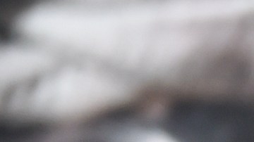 HOLLYWOOD, CALIFORNIA - NOVEMBER 29: John Leguizamo attends the premiere of Universal Pictures' "Violent Night" at TCL Chinese Theatre on November 29, 2022 in Hollywood, California. (Photo by Rodin Eckenroth/FilmMagic)