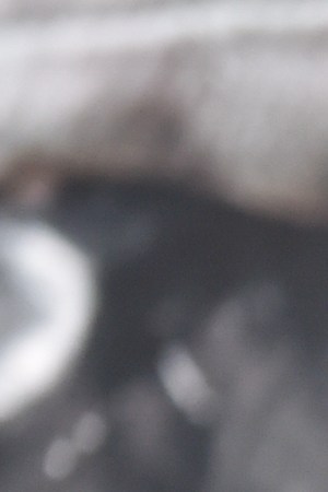 HOLLYWOOD, CALIFORNIA - NOVEMBER 29: John Leguizamo attends the premiere of Universal Pictures' "Violent Night" at TCL Chinese Theatre on November 29, 2022 in Hollywood, California. (Photo by Rodin Eckenroth/FilmMagic)