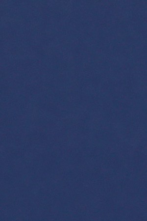 LOS ANGELES, CALIFORNIA - JANUARY 31: Rita Moreno attends the Los Angeles Premiere Screening Of Paramount Pictures' "80 For Brady" at Regency Village Theatre on January 31, 2023 in Los Angeles, California. (Photo by Frazer Harrison/WireImage)