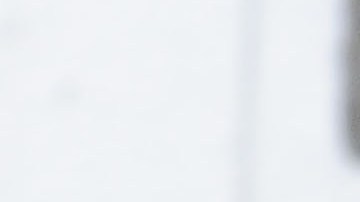 HOLLYWOOD, CA - APRIL 26: Actress Raquel Welch attends the premiere of "How to Be a Latin Lover" at ArcLight Cinemas Cinerama Dome on April 26, 2017 in Hollywood, California. (Photo by Jason LaVeris/FilmMagic)