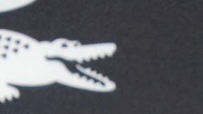 BEVERLY HILLS, CA- FEBRUARY 22: Actress Raquel Welch arrives at the 16th Costume Designers Guild Awards at The Beverly Hilton Hotel on February 22, 2014 in Beverly Hills, California.(Photo by Jeffrey Mayer/WireImage)