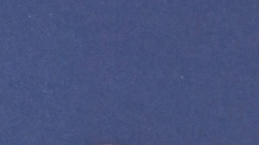 BEVERLY HILLS, CALIFORNIA - APRIL 02: Sasha Calle attends The 33rd Annual GLAAD Media Awards at The Beverly Hilton on April 02, 2022 in Beverly Hills, California. (Photo by Stefanie Keenan/Getty Images for GLAAD)