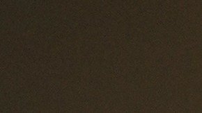 Carin León_"Man in Black"