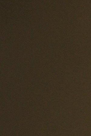 Carin León_"Man in Black"