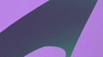 Chilaquil, a Golden Retriever in Mexico going viral on TikTok