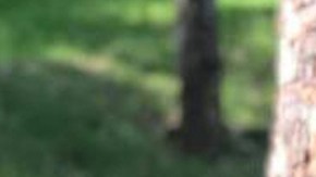 Photo Courtesy of Twitter @m_ebrard