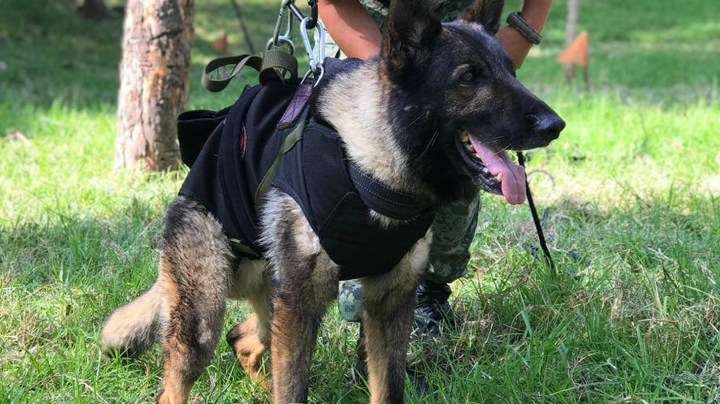 Photo Courtesy of Twitter @m_ebrard