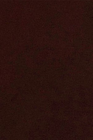 Romeo Santos_Stadiums