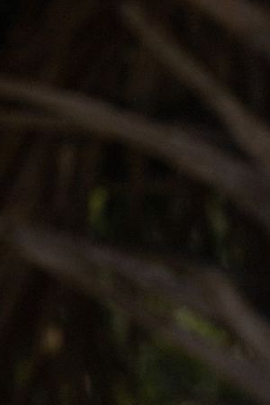 Ana de Armas in "Ghosted," premiering April 21, 2023 on Apple TV+.