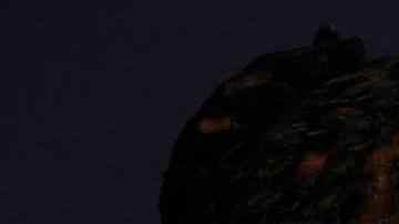 US rapper Offset (L) and US rapper Cardi B arrives for the Recording Academy and Clive Davis pre-Grammy gala at the Beverly Hilton hotel in Beverly Hills, California on February 4, 2023. (Photo by Michael TRAN / AFP) (Photo by MICHAEL TRAN/AFP via Getty Images)