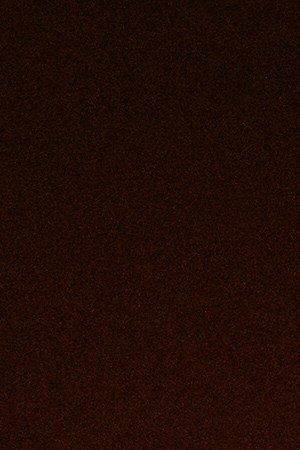 Karol G_Lollapalooza_"Mañana Será Bonito"_The Today