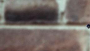 Mexican and American flag with wall behind