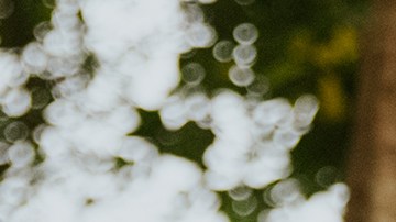 Photography by German Torres.