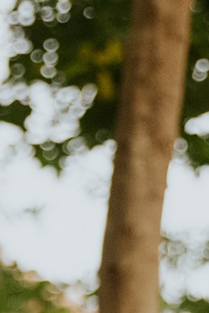 Photography by German Torres.