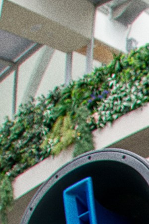 Photo courtesy of 9AM