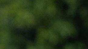 Michelle Rodriguez attends the Los Angeles Premiere of Paramount Pictures’ and eOne’s “Dungeons & Dragons: Honor Among Thieves” at the Regency Village Theatre on Sunday, March 26, 2023 in Los Angeles, California (photo: Alex J. Berliner/ABImages)