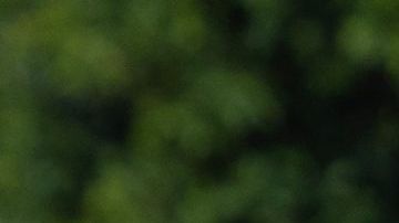 Michelle Rodriguez attends the Los Angeles Premiere of Paramount Pictures’ and eOne’s “Dungeons & Dragons: Honor Among Thieves” at the Regency Village Theatre on Sunday, March 26, 2023 in Los Angeles, California (photo: Alex J. Berliner/ABImages)