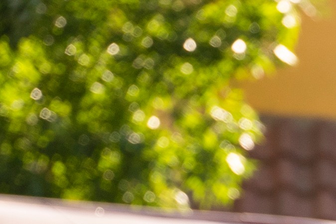 Primo exclusive pictures