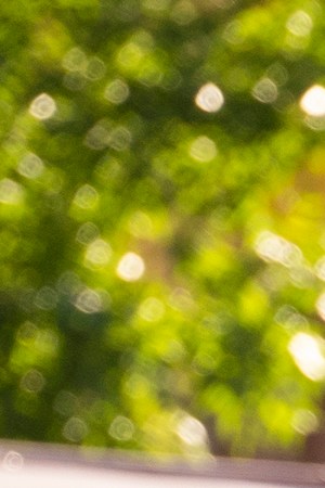 Primo exclusive pictures