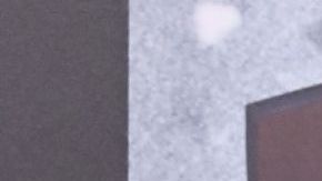 LOS ANGELES, CALIFORNIA - MARCH 14: Rachel Zegler attends the Los Angeles premiere of Warner Bros.' "Shazam! Fury Of The Gods" at Regency Village Theatre on March 14, 2023 in Los Angeles, California. (Photo by Araya Doheny/WireImage)