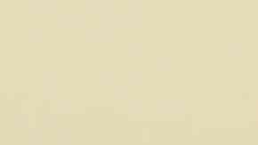 An Egyptian Mau cat tattooed with the symbols of the criminal group Los Mexicles that reads "Made in Mexico" is photographed in the Rescue and Adoption of Municipal Pets area (RAMM) in Ciudad Juarez, Chihuahua state, Mexico on February 13, 2023, after being rescued by the Secretary of State Public Security from inside the Center for Social Readaptation number 3 (Cereso). (Photo by HERIKA MARTINEZ / AFP) (Photo by HERIKA MARTINEZ/AFP via Getty Images)