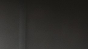 Olivia Pichardo for Brown Athletics