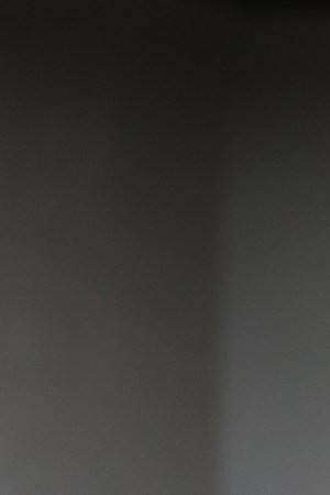 Olivia Pichardo for Brown Athletics