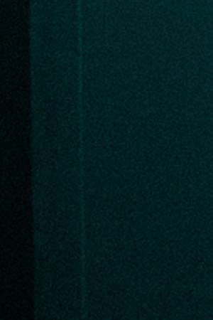 Justin Quiles_Natti Natasha_Omar Courtz_“En Bajita”