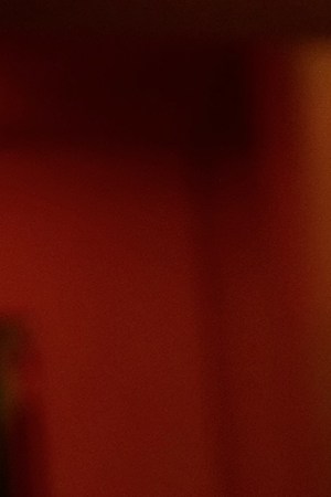 Jesus Ortiz Paz_'Ex-Especial'?