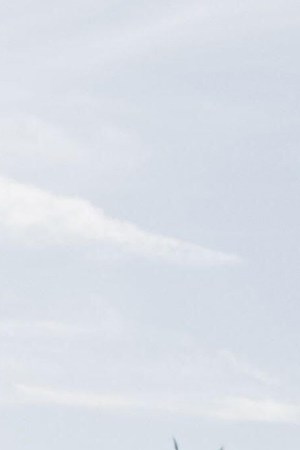 "Chanel"_Peso Pluma_Becky G