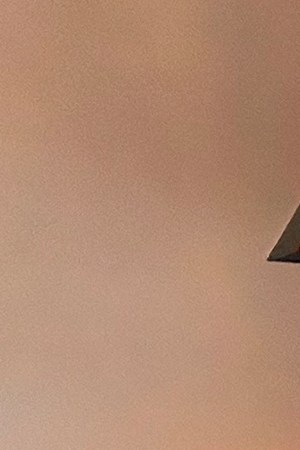 Courtesy of Daniel Buezo.