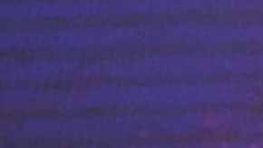 “Algo Bonito”_iLe_Ivy Queen