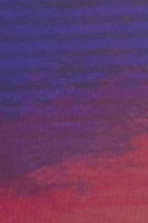 “Algo Bonito”_iLe_Ivy Queen