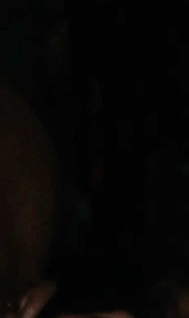 jeylina-header