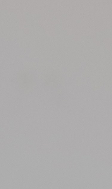 moni-saldana-header