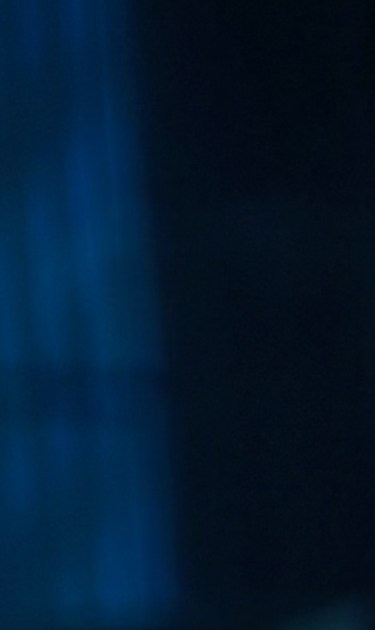 paloma-velez-header